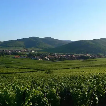 Semesterbostad Maison Cosy A + Parking